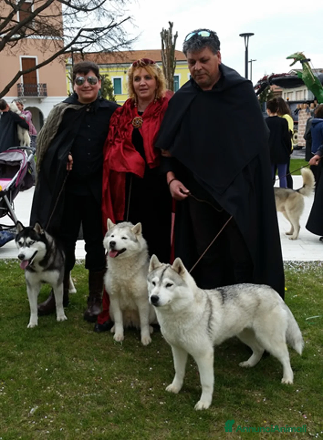 Immagine della galleria {{count}}