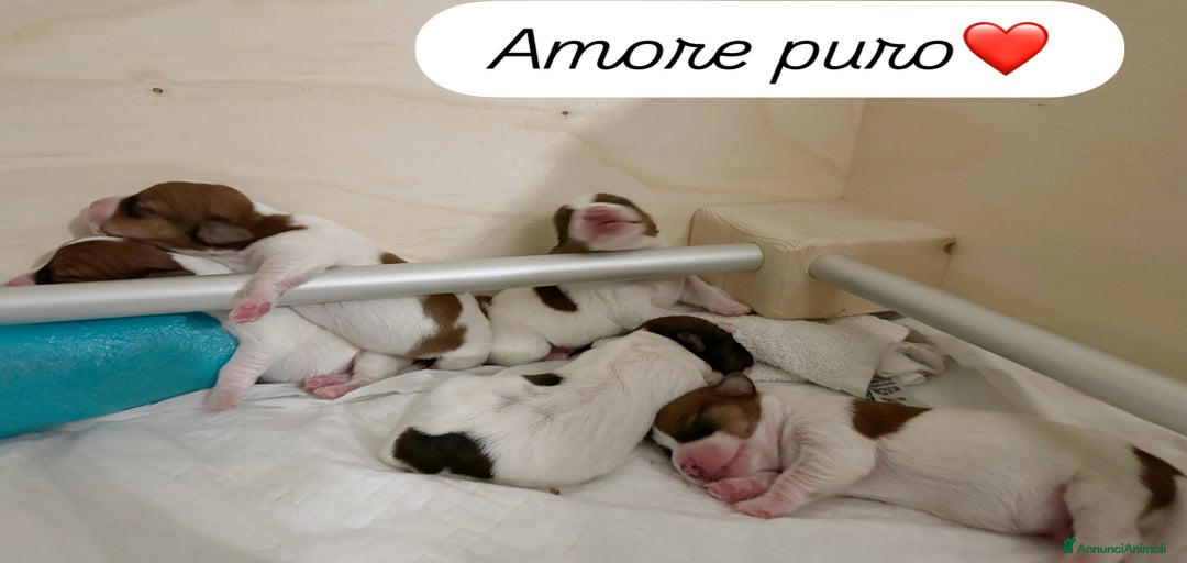 Immagine della galleria {{count}}