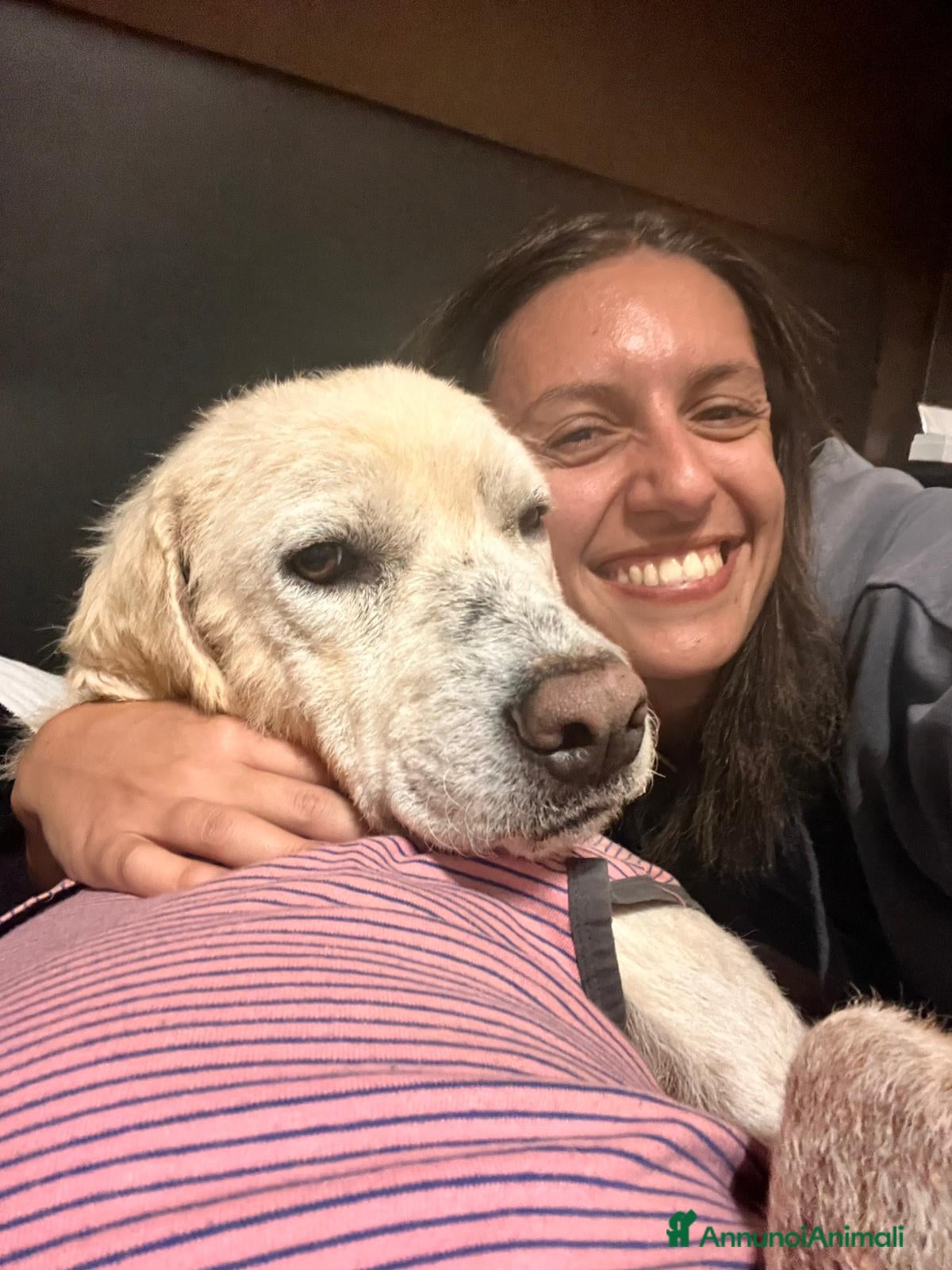 Meticcio cani Cagnolona unica e speciale - Annuncio 2