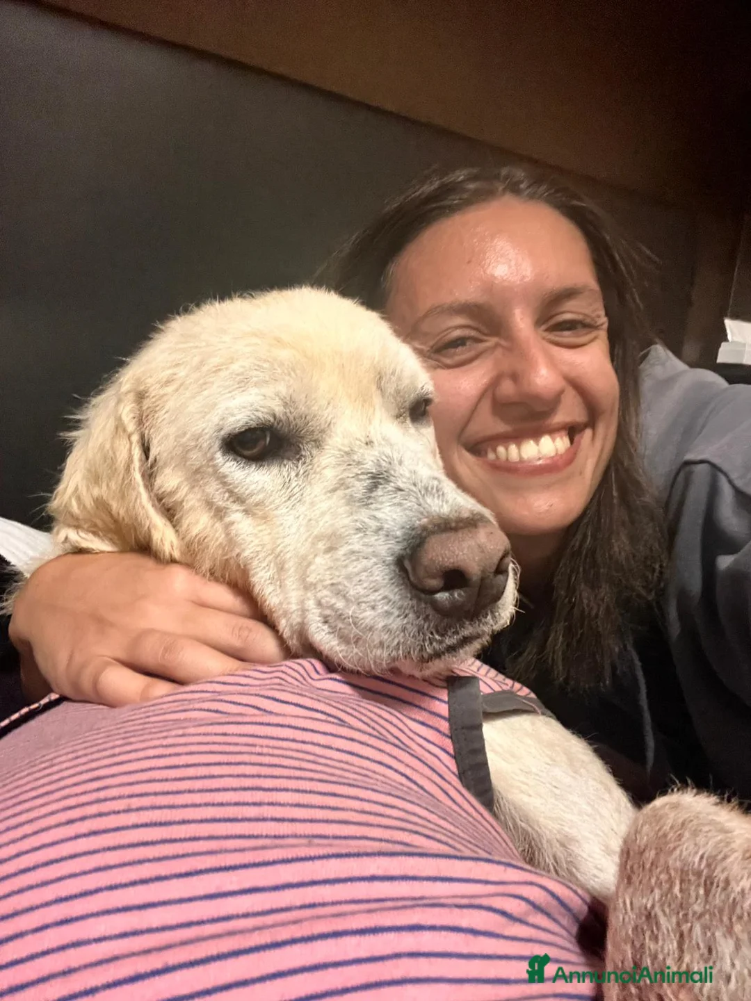 Meticcio cani in regalo: Cagnolona unica e speciale - Annuncio 2