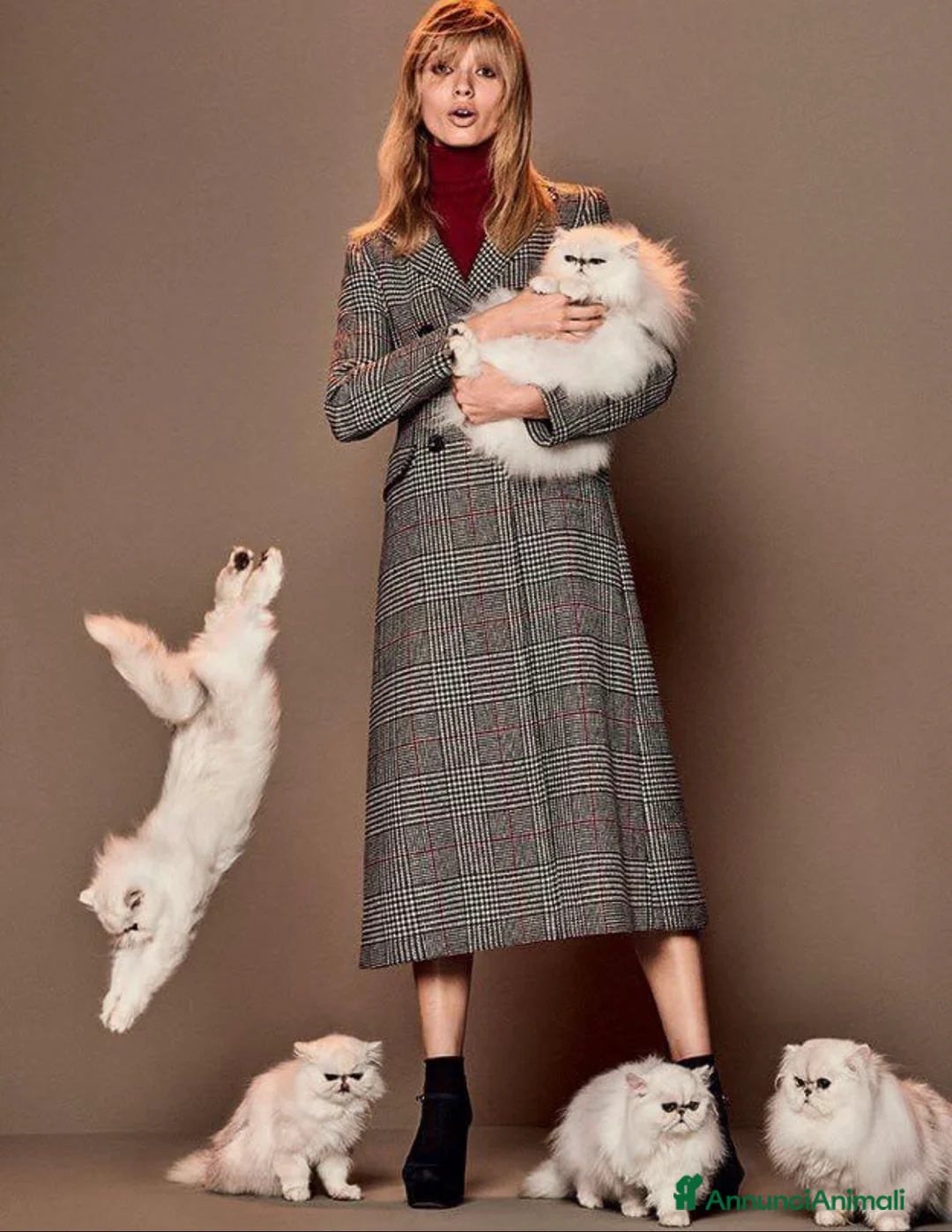 Immagine della galleria {{count}}