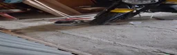 Meticcio gatti in regalo: Gattino CERCA CASA a Città Metropolitana di Napoli - Annuncio 3