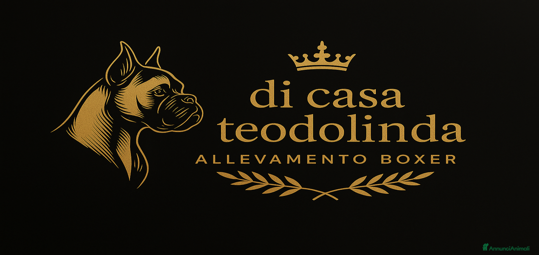 Immagine della galleria {{count}}