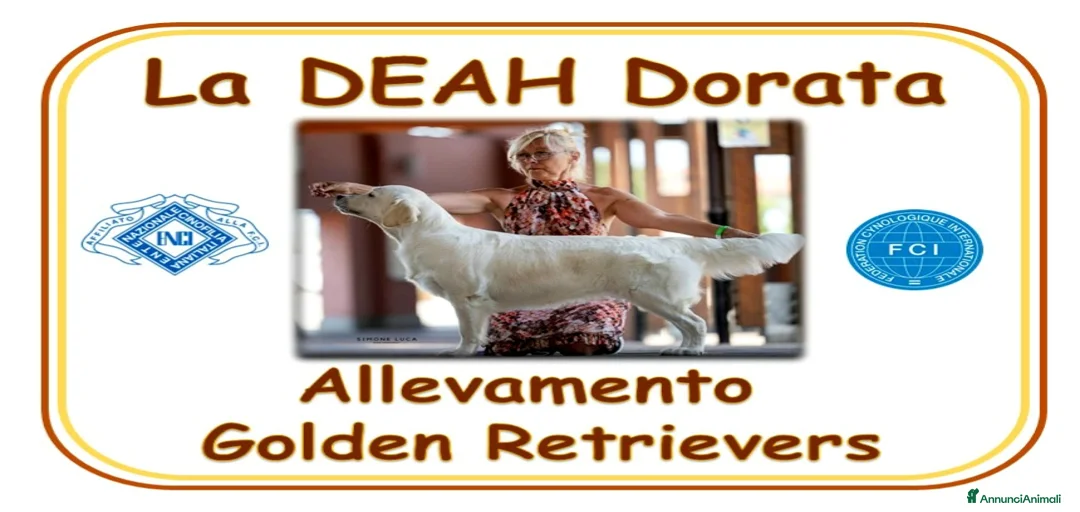 Immagine della galleria {{count}}