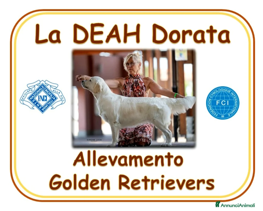 Immagine della galleria {{count}}