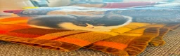 Europeo gatti in vendita: Meravigliosi Gattini  - Annuncio 2