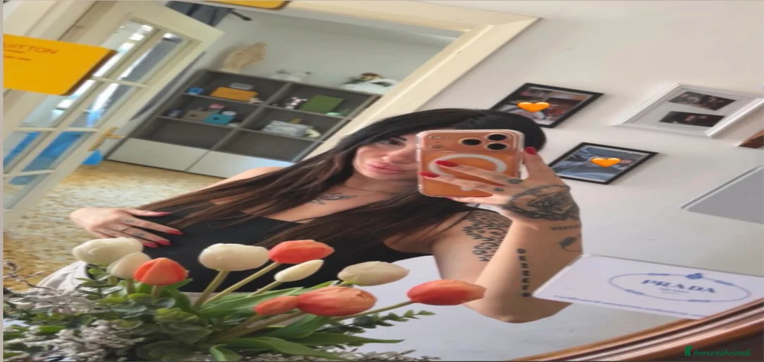 Immagine della galleria {{count}}