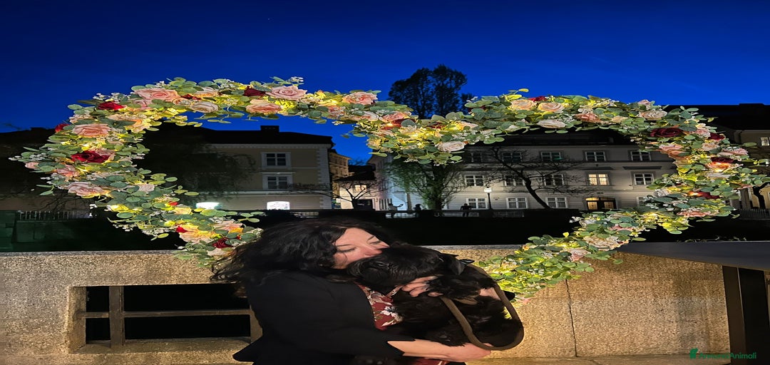 Immagine della galleria {{count}}