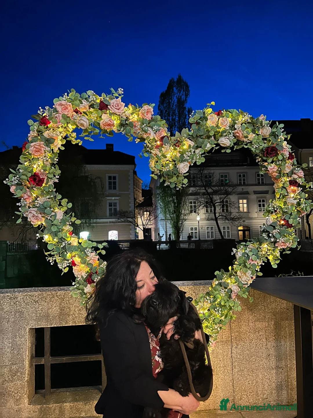 Immagine della galleria {{count}}