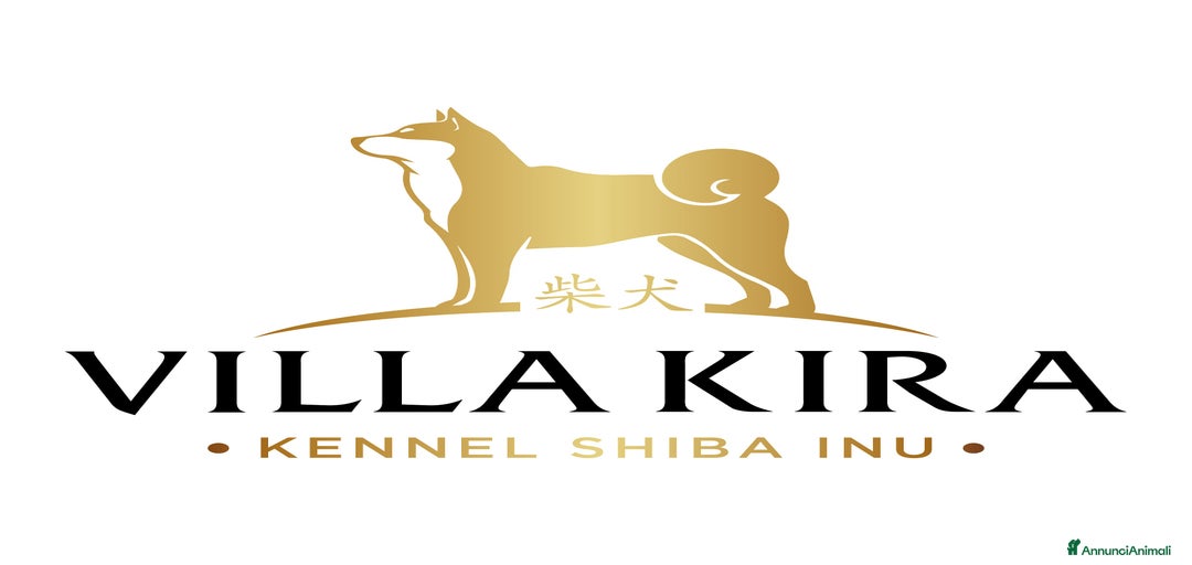 Immagine della galleria {{count}}