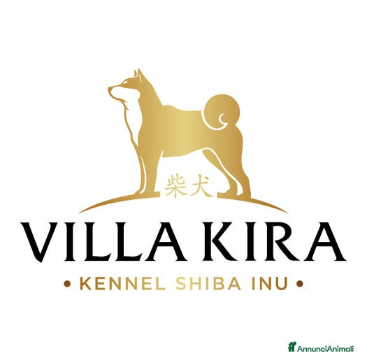 Immagine della galleria {{count}}