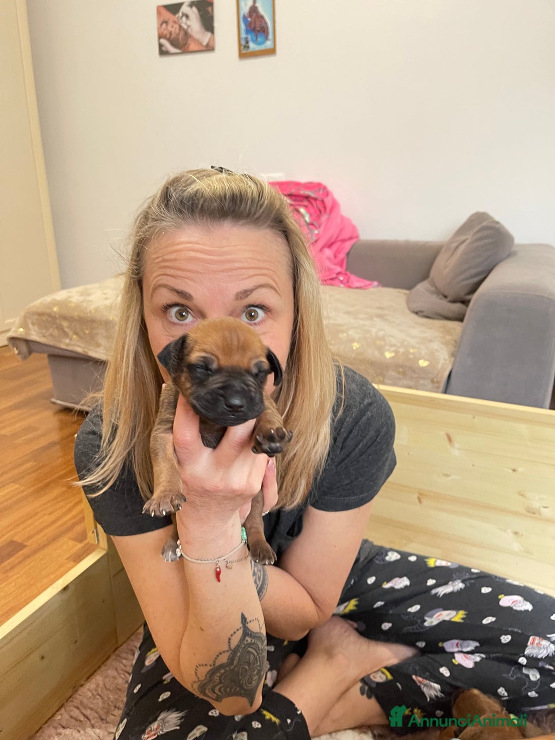 Immagine della galleria {{count}}