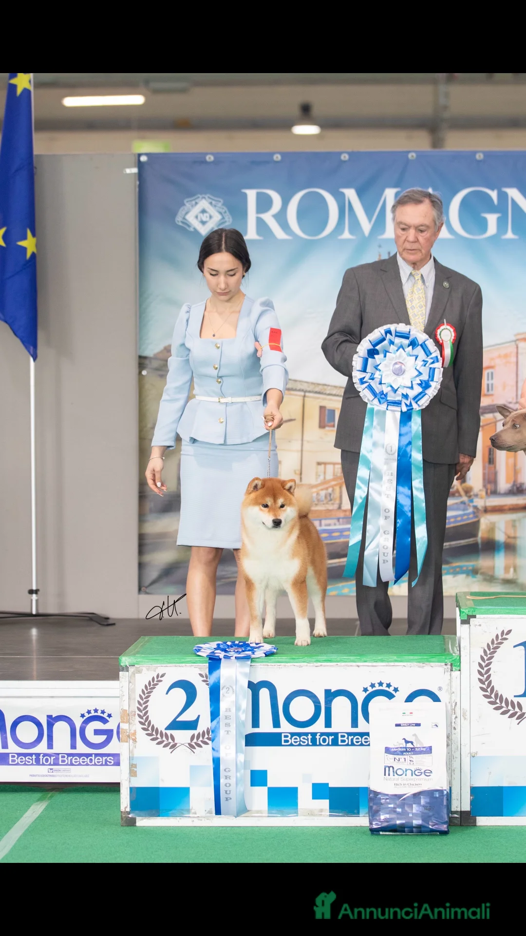 Shiba Inu cani in vendita: Shiba inu cuccioli  - Annuncio 9