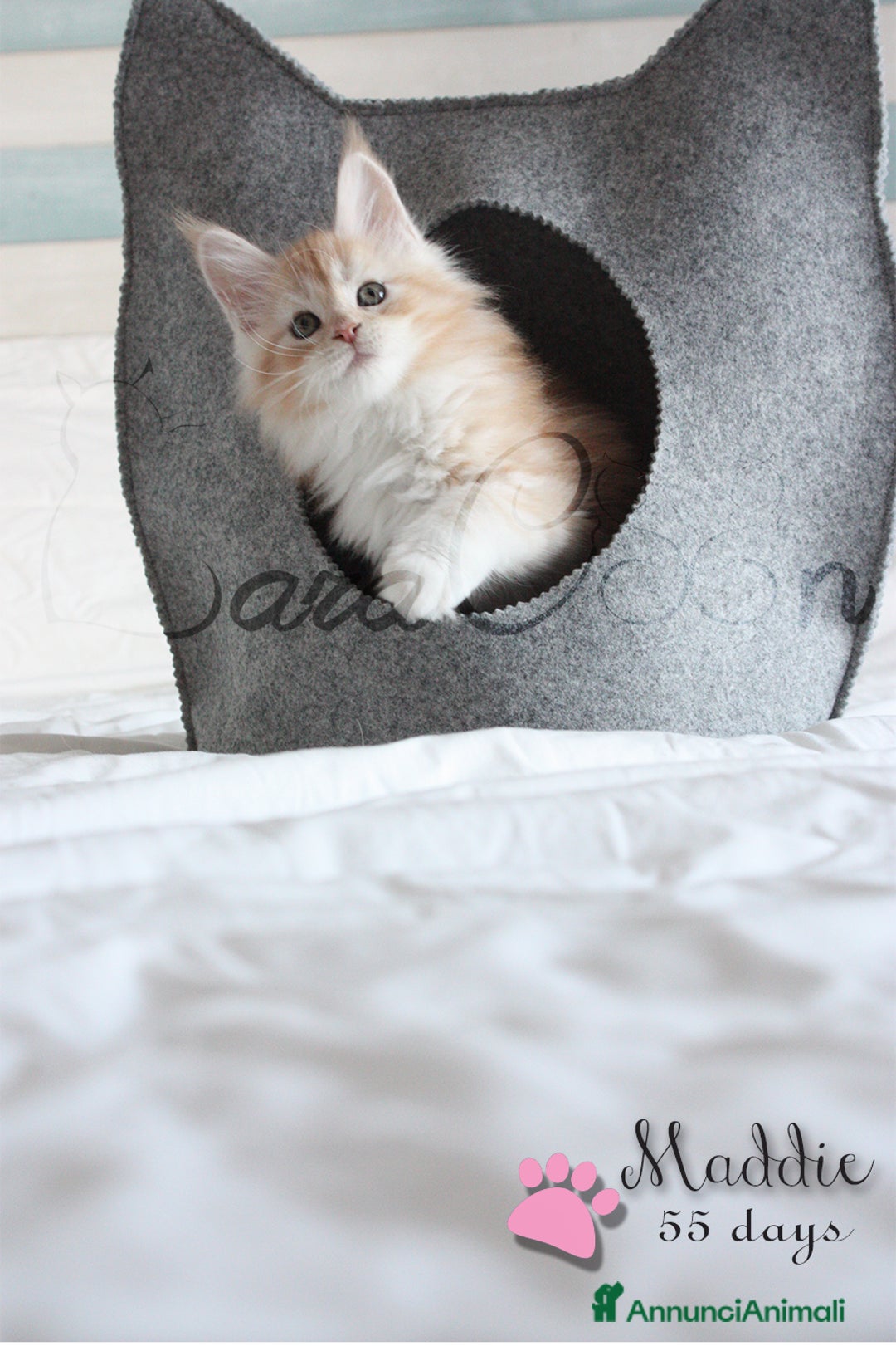 Immagine della galleria {{count}}