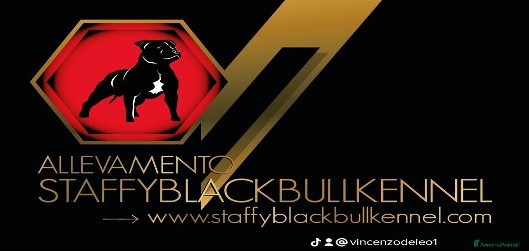 Immagine della galleria {{count}}