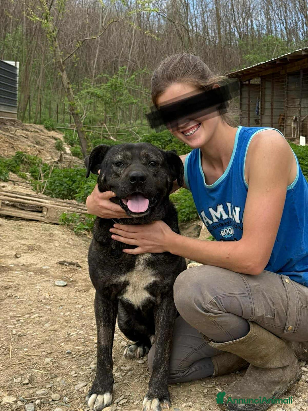 Meticcio cani in regalo: HERCULES, molosso dalla bontà unica! - Annuncio 5