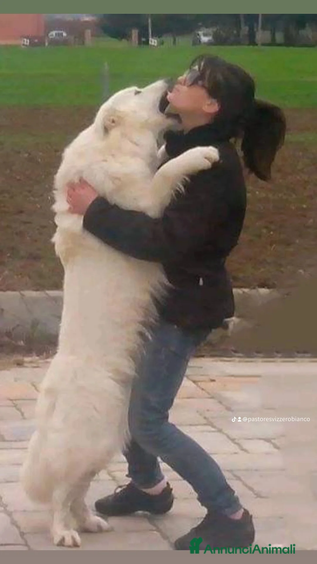 Immagine della galleria {{count}}