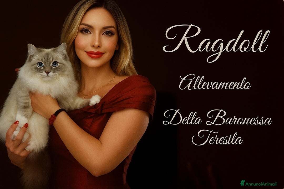 Immagine della galleria {{count}}