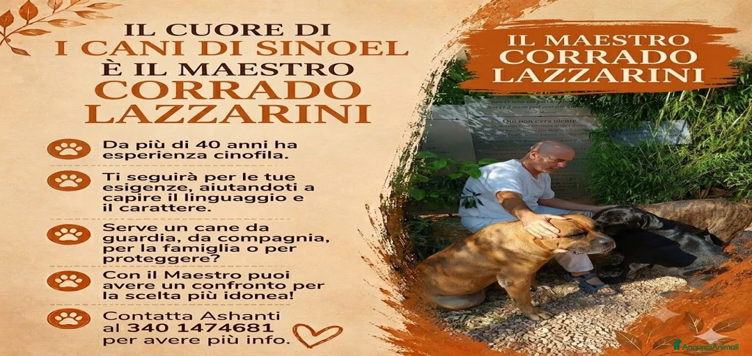 Immagine della galleria {{count}}