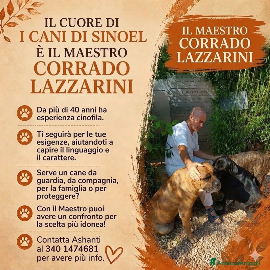 Immagine della galleria {{count}}