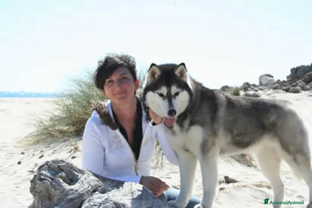 Immagine della galleria {{count}}