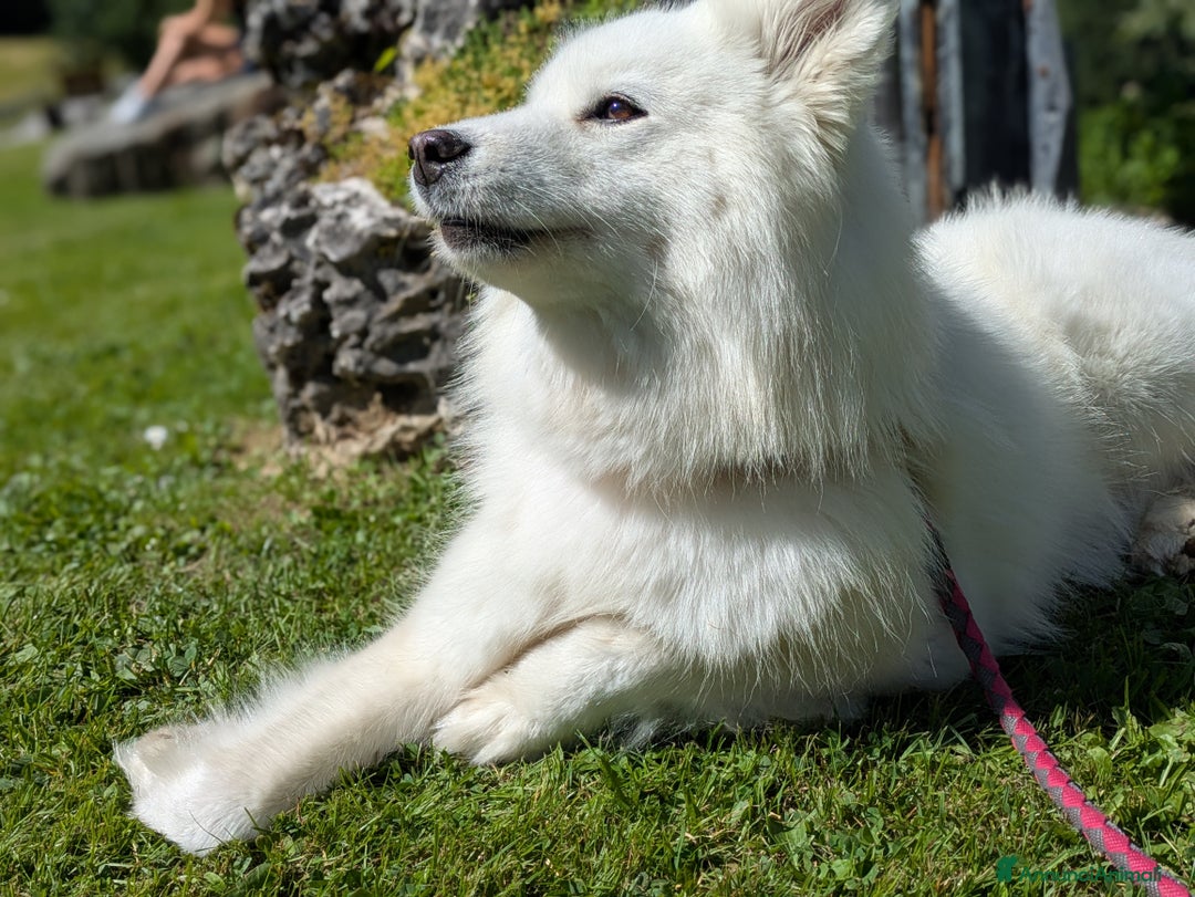 Immagine della galleria {{count}}