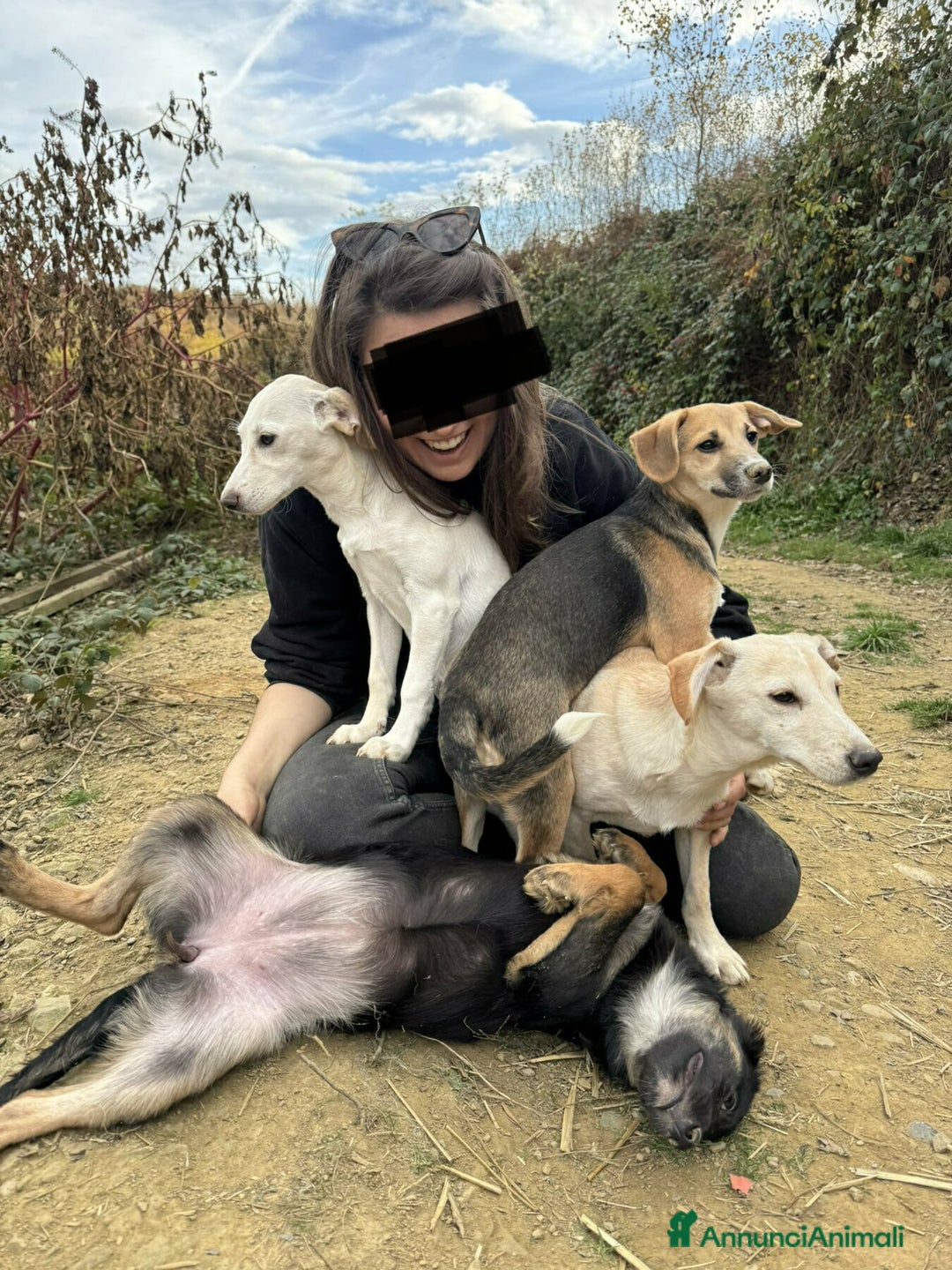 Meticcio cani in regalo: 6 CUCCIOLI NANETTI cercano coccole! - Annuncio 8