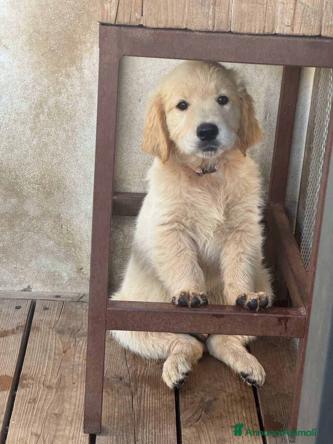 Immagine della galleria {{count}}