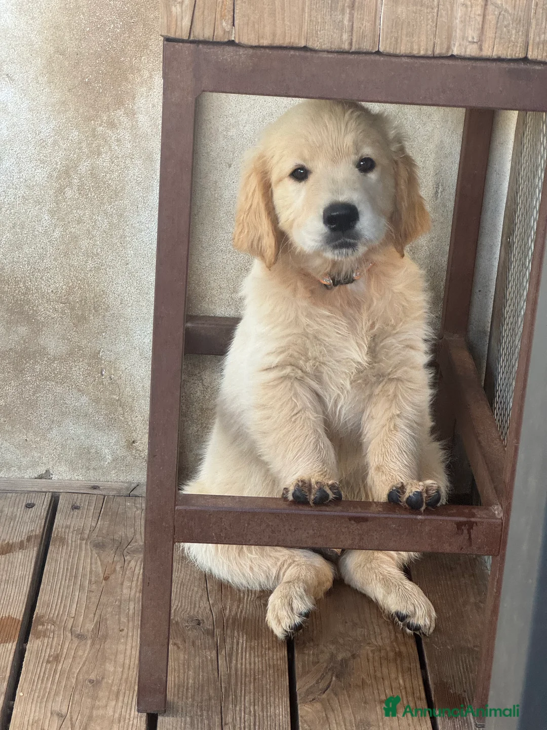 Immagine della galleria {{count}}