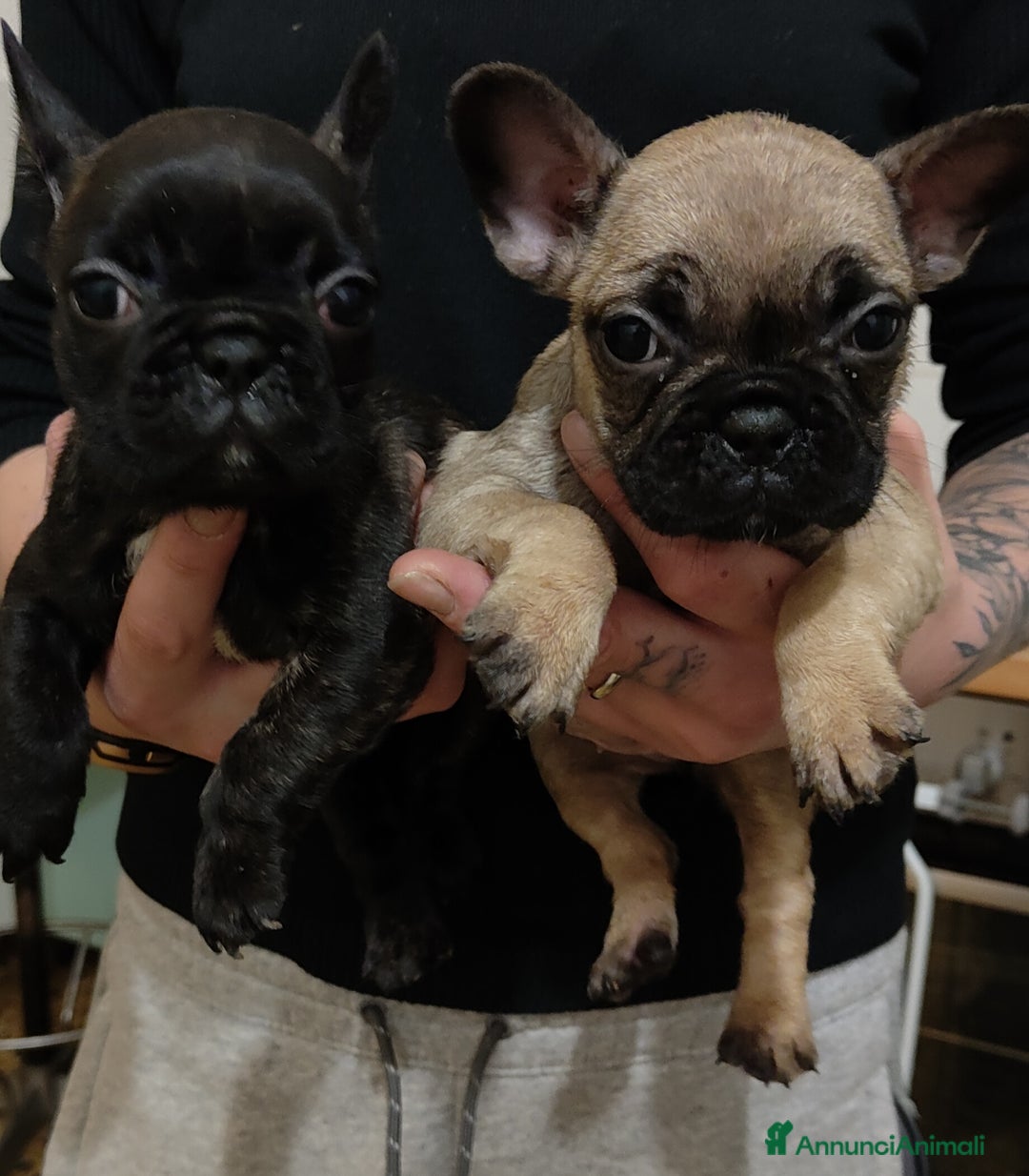 Immagine della galleria {{count}}