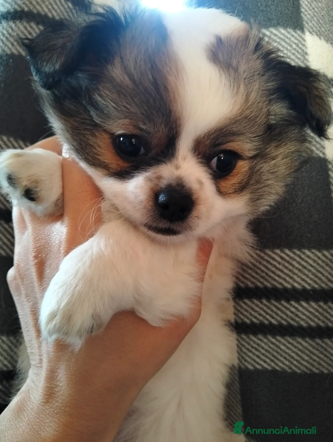 Immagine della galleria {{count}}