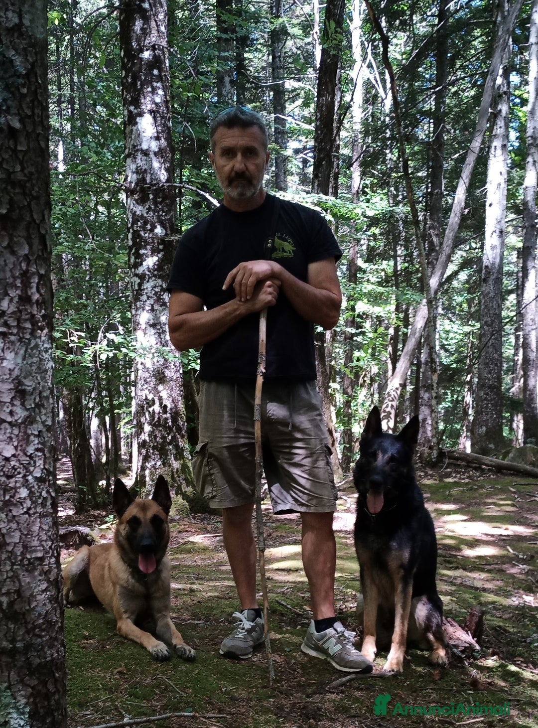 Immagine della galleria {{count}}