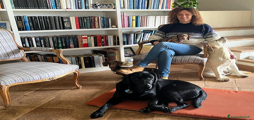 Immagine della galleria {{count}}