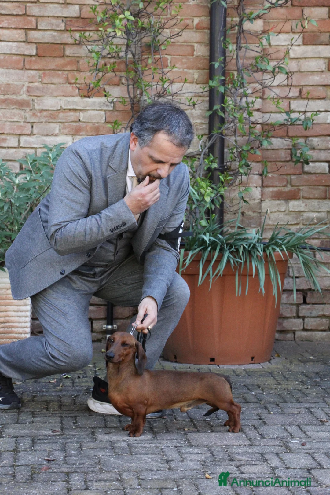 Immagine della galleria {{count}}