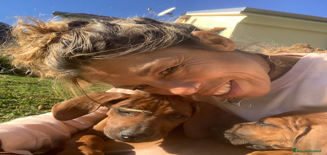 Immagine della galleria {{count}}