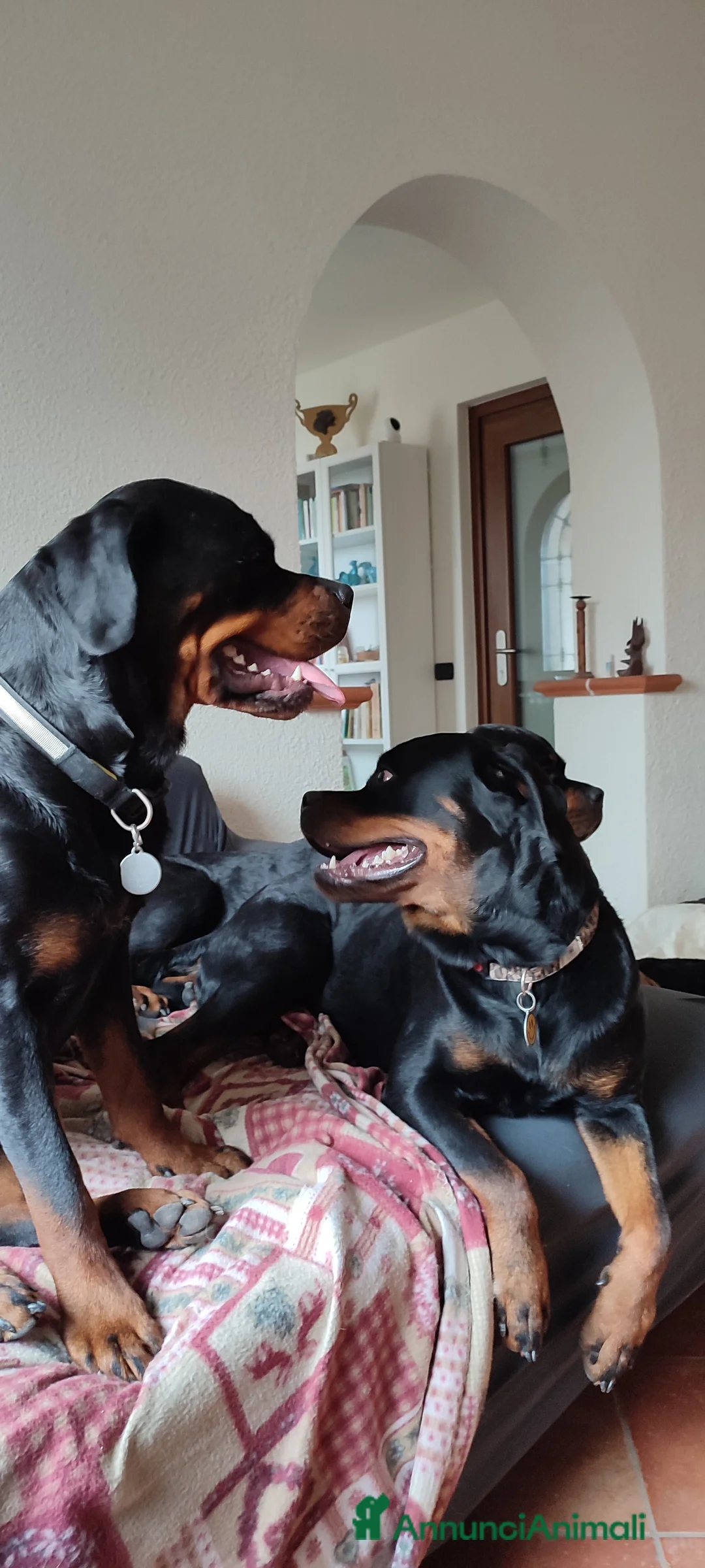 Immagine della galleria {{count}}