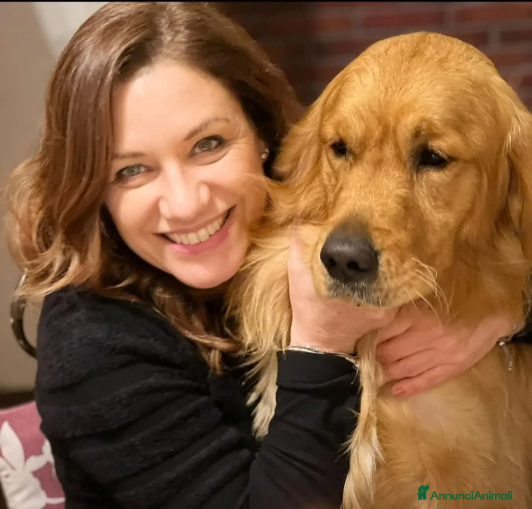 Immagine della galleria {{count}}