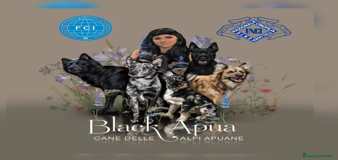 Immagine della galleria {{count}}