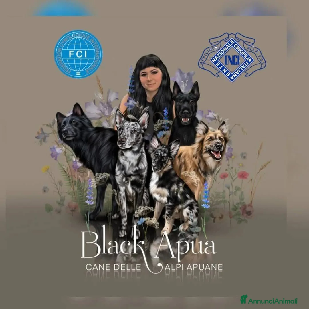 Immagine della galleria {{count}}