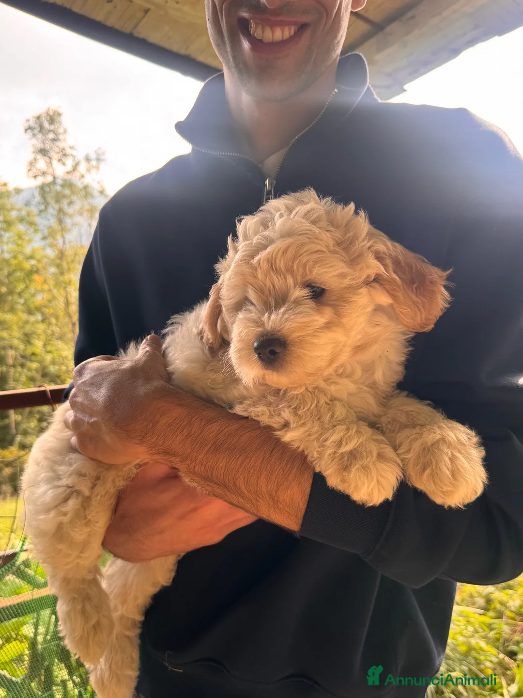 Meticcio cani in vendita: 🐾 Dolcissime cucciole cercano famiglia amorevole a Provincia di Bergamo - Annuncio 1