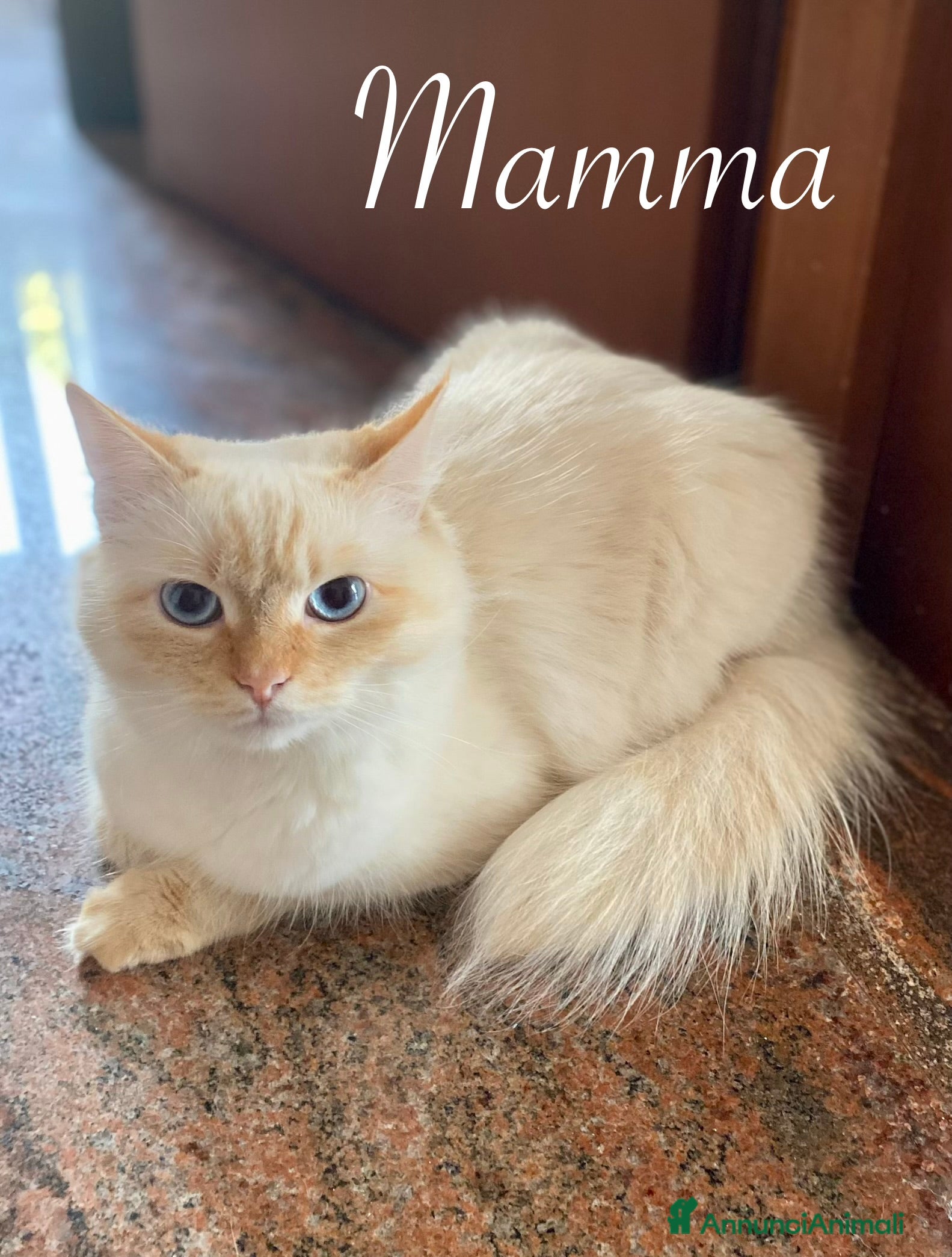 Minú 