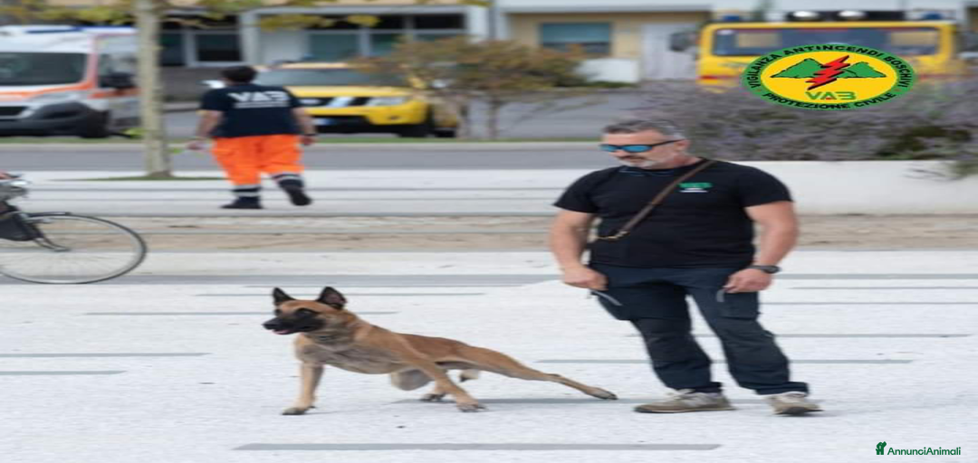 Immagine della galleria {{count}}