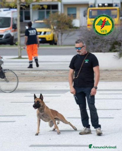 Immagine della galleria {{count}}