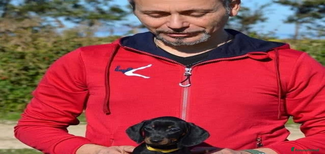 Immagine della galleria {{count}}