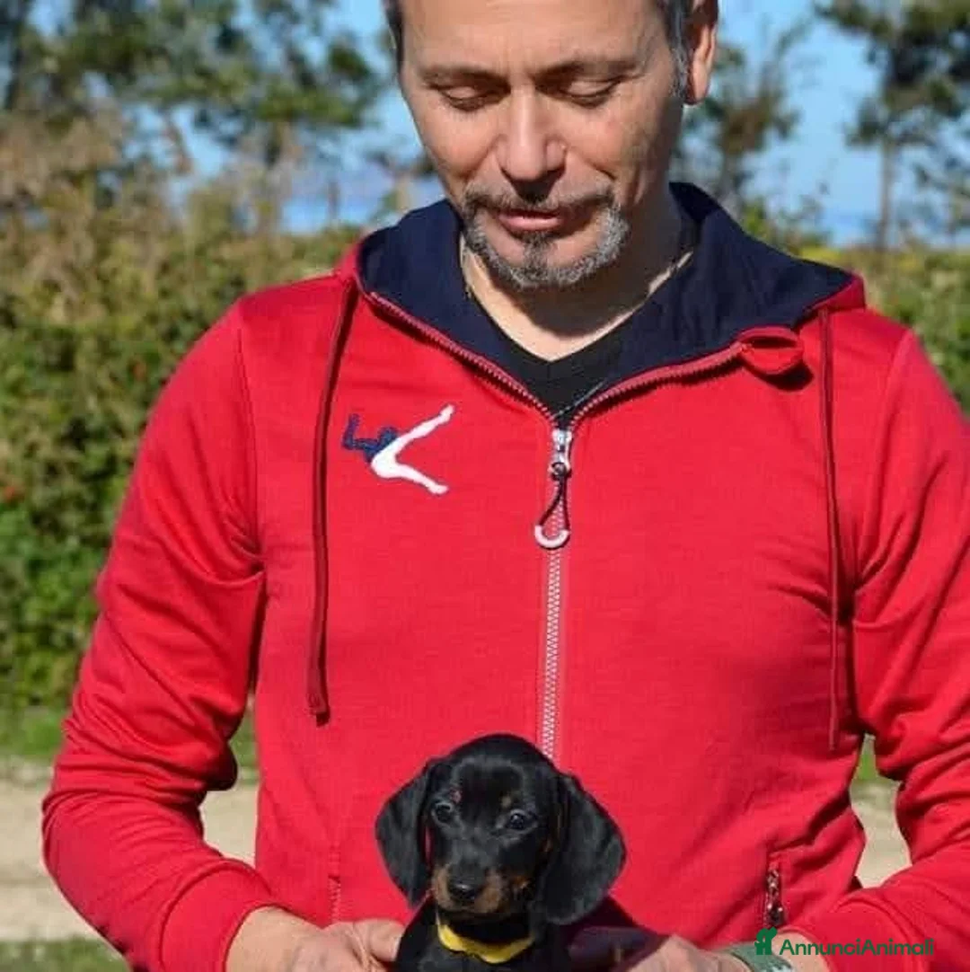 Immagine della galleria {{count}}