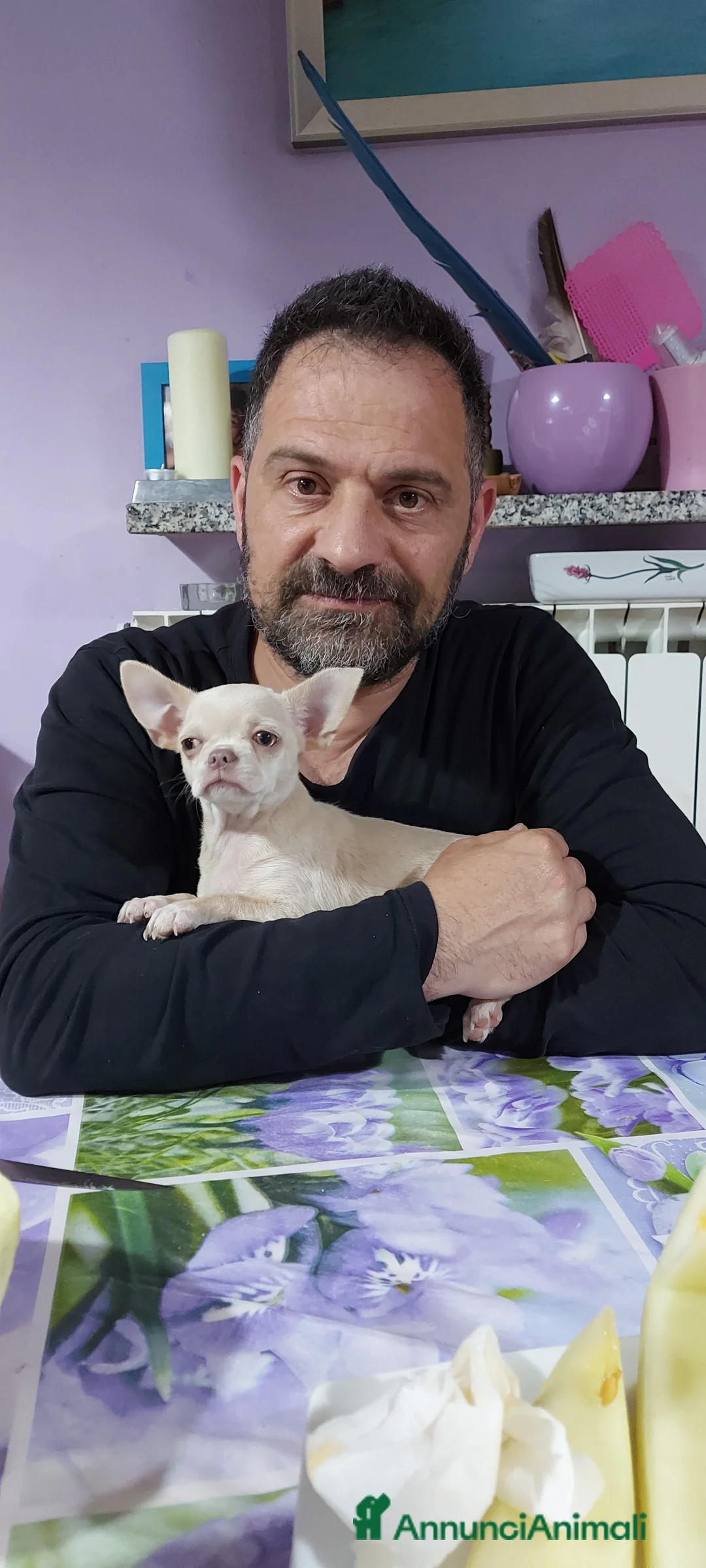 Immagine della galleria {{count}}