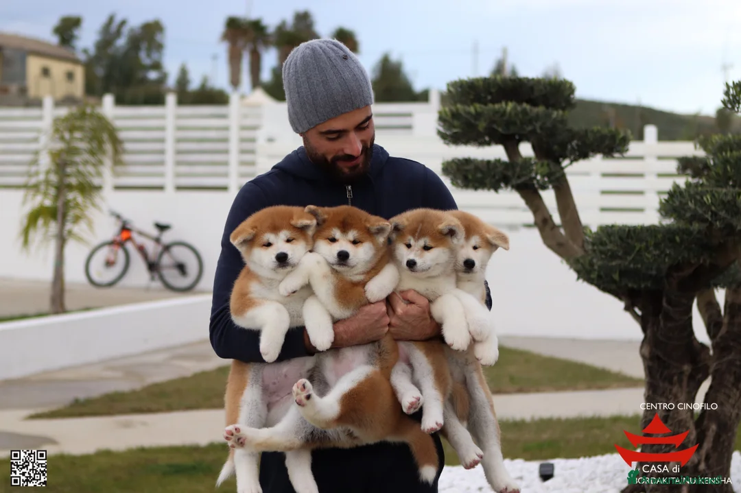 Immagine della galleria {{count}}