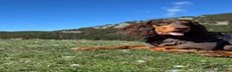 Cocker cani in vendita: Prenotazioni cuccioli di English Cocker Spaniel  a Provincia di Cosenza - Annuncio 15