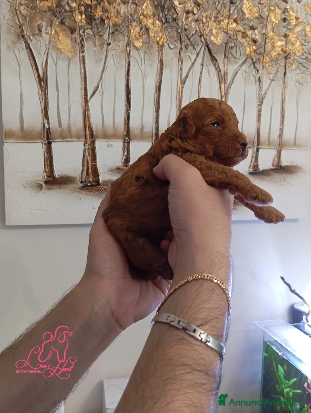 Immagine della galleria {{count}}