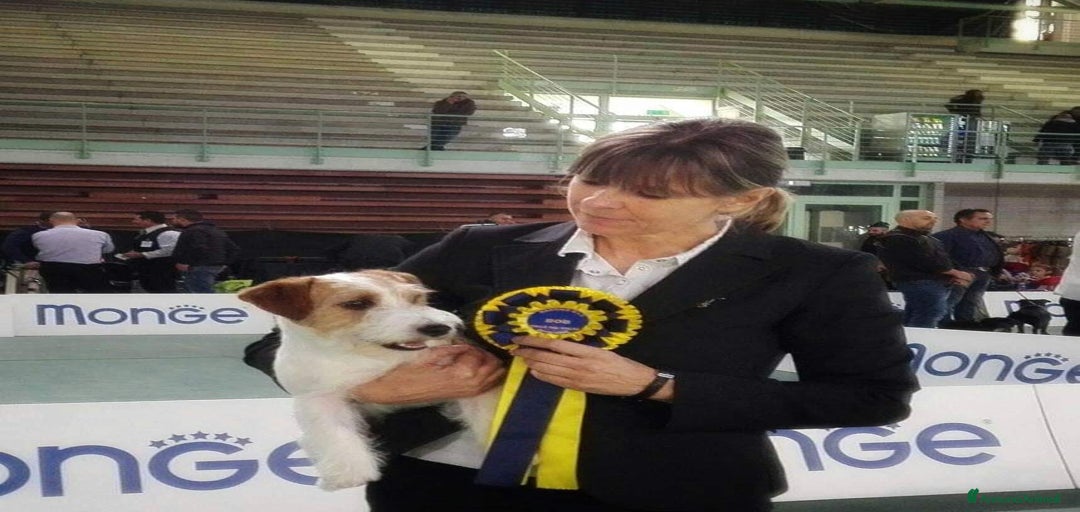 Immagine della galleria {{count}}